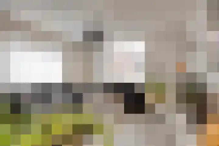 Pijlkruidstraat 53 Almelo thumbnail 8