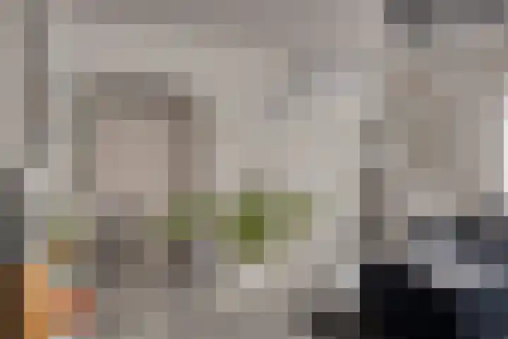 Pijlkruidstraat 53 Almelo thumbnail 9