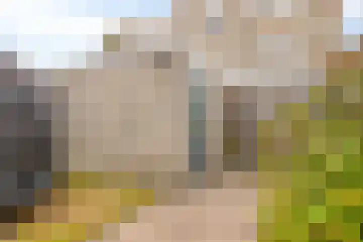 Pijlkruidstraat 57 Berkel en Rodenrijs thumbnail 16