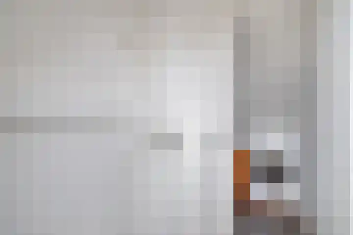 Pijlkruidstraat 57 Berkel en Rodenrijs thumbnail 29