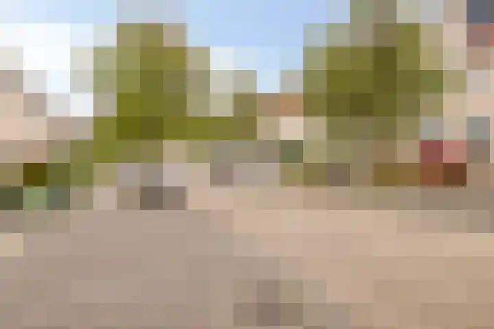 Pijlkruidstraat 57 Berkel en Rodenrijs thumbnail 32