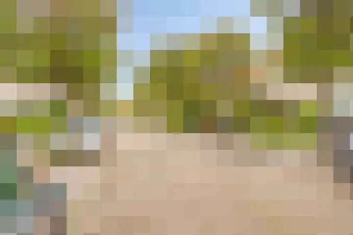 Pijlkruidstraat 57 Berkel en Rodenrijs thumbnail 33