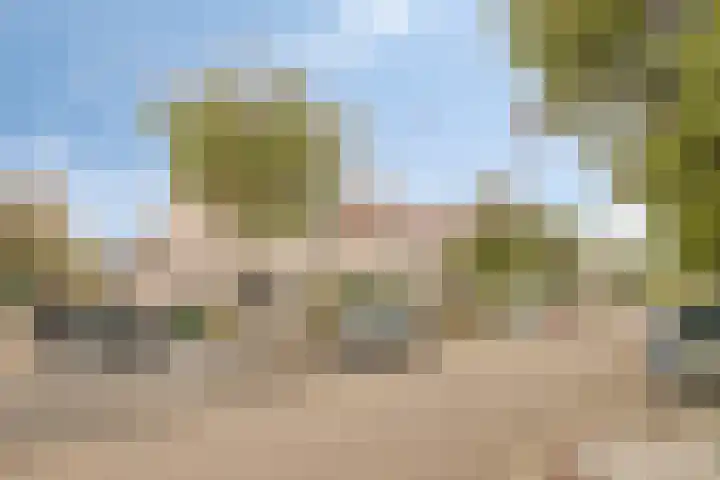 Pijlkruidstraat 57 Berkel en Rodenrijs thumbnail 5
