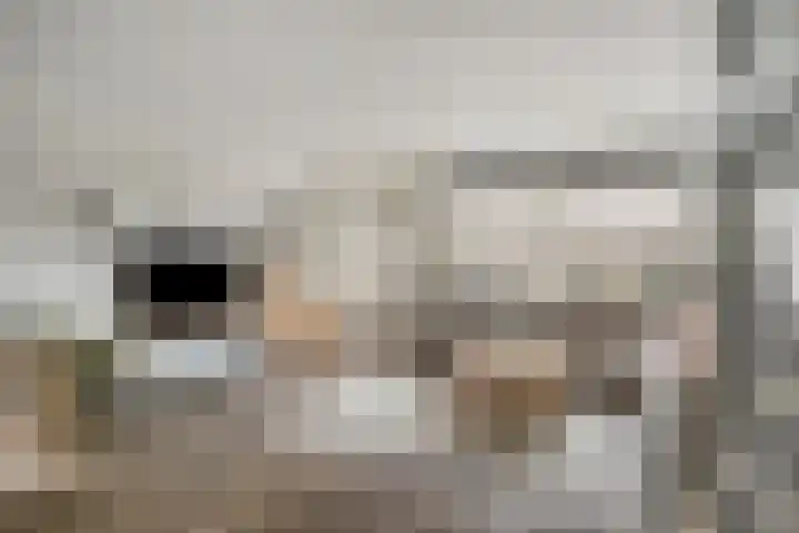 Pijlkruidstraat 57 Berkel en Rodenrijs thumbnail 9