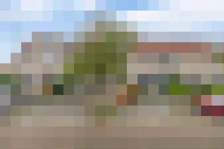 Pijlkruidstraat 59 Berkel en Rodenrijs thumbnail 5
