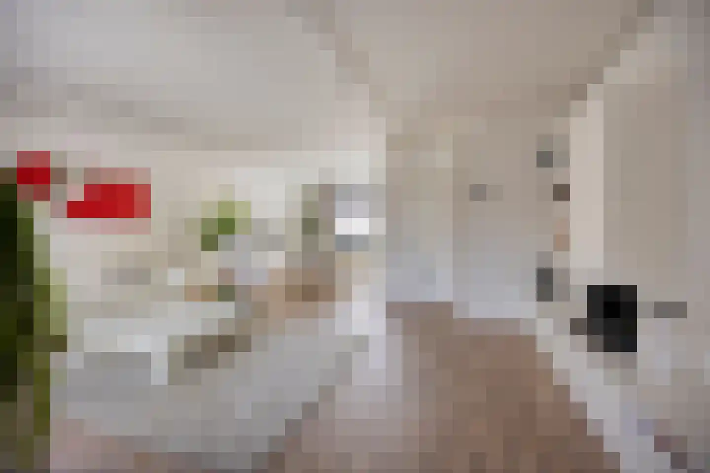 Pijlkruidvaart 14 Zoetermeer thumbnail 10