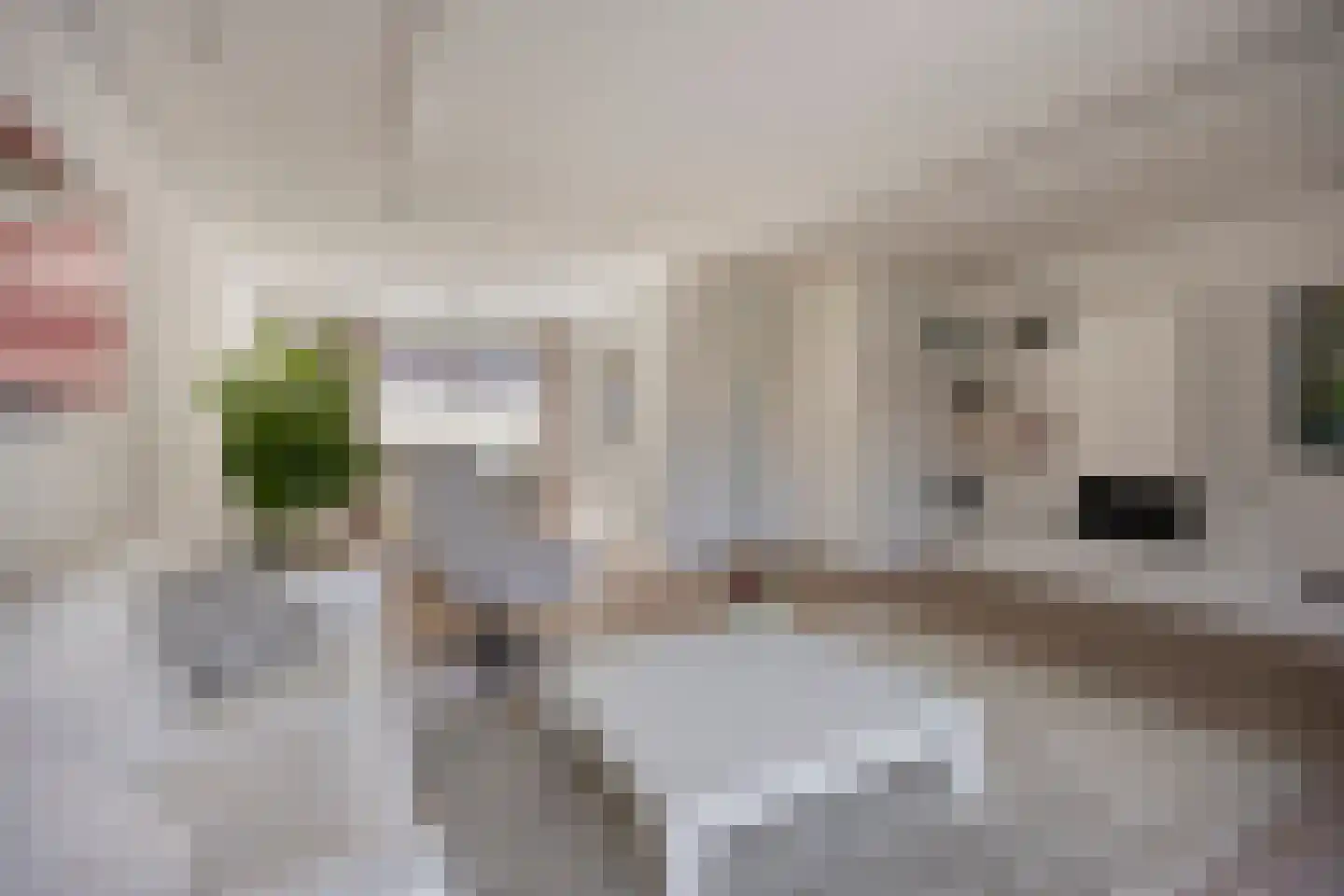 Pijlkruidvaart 14 Zoetermeer thumbnail 12