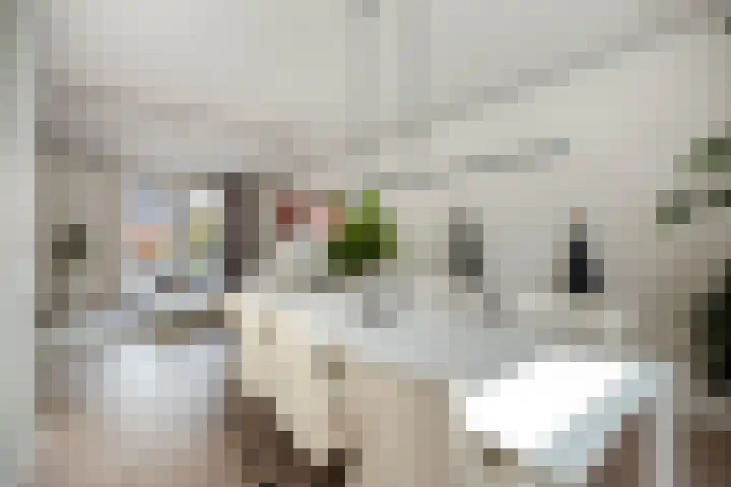 Pijlkruidvaart 14 Zoetermeer thumbnail 14