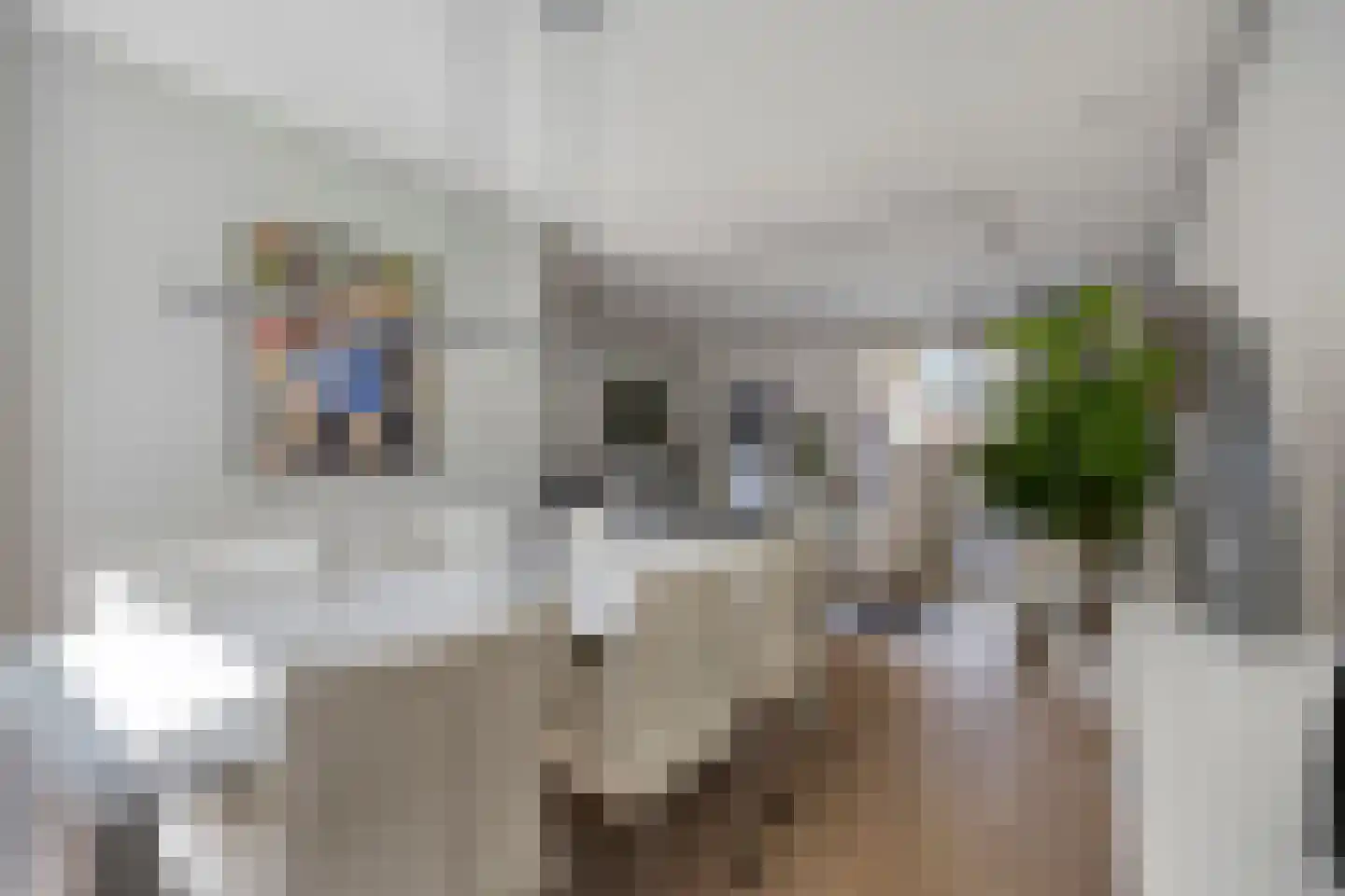 Pijlkruidvaart 14 Zoetermeer thumbnail 15