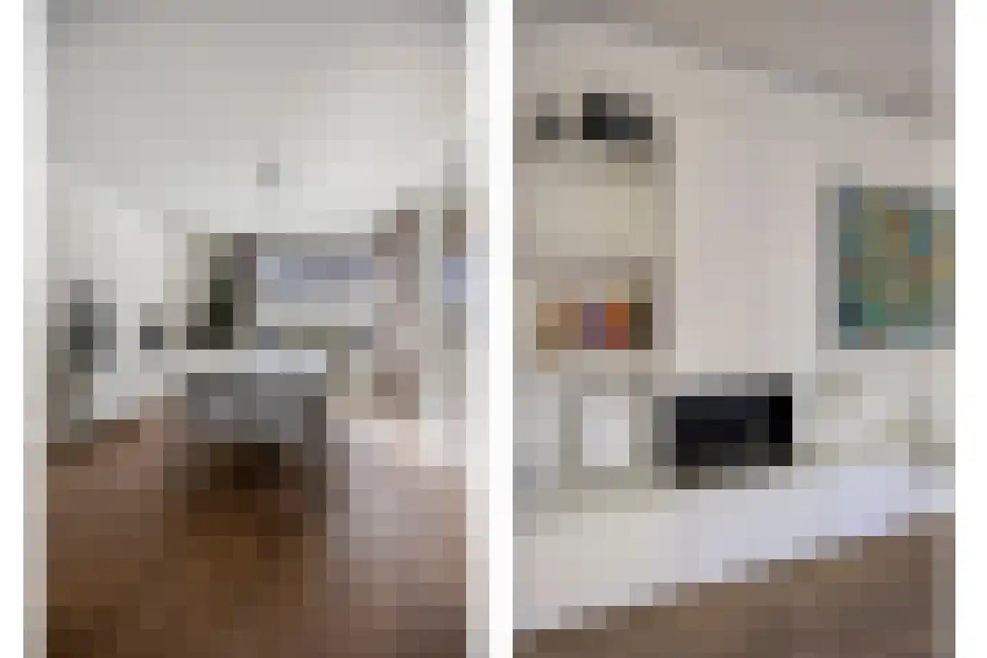 Pijlkruidvaart 14 Zoetermeer thumbnail 16