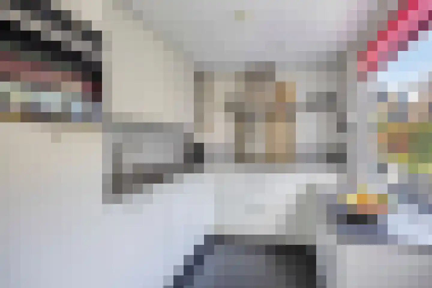 Pijlkruidvaart 14 Zoetermeer thumbnail 19