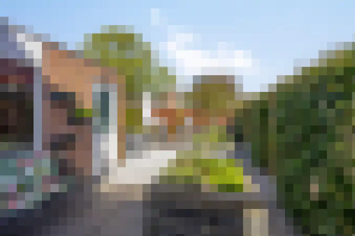 Pijlkruidvaart 14 Zoetermeer thumbnail 22