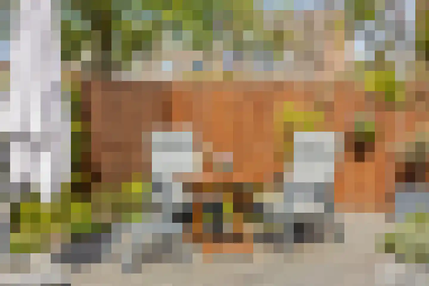 Pijlkruidvaart 14 Zoetermeer thumbnail 24