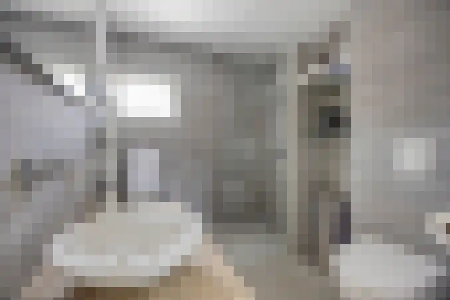 Pijlkruidvaart 14 Zoetermeer thumbnail 33
