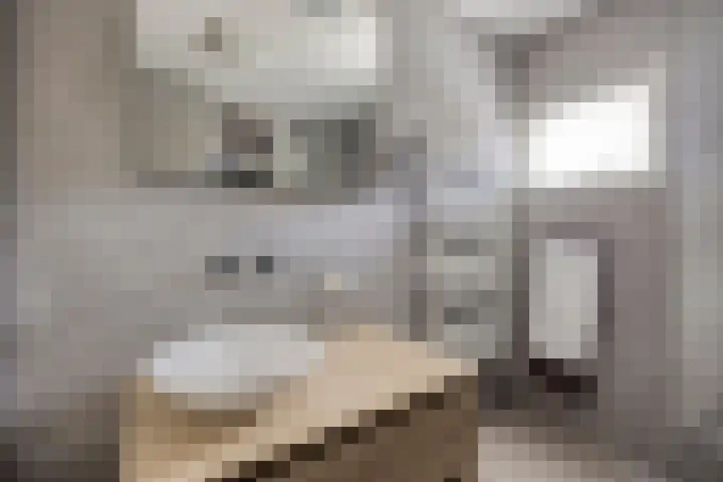 Pijlkruidvaart 14 Zoetermeer thumbnail 35