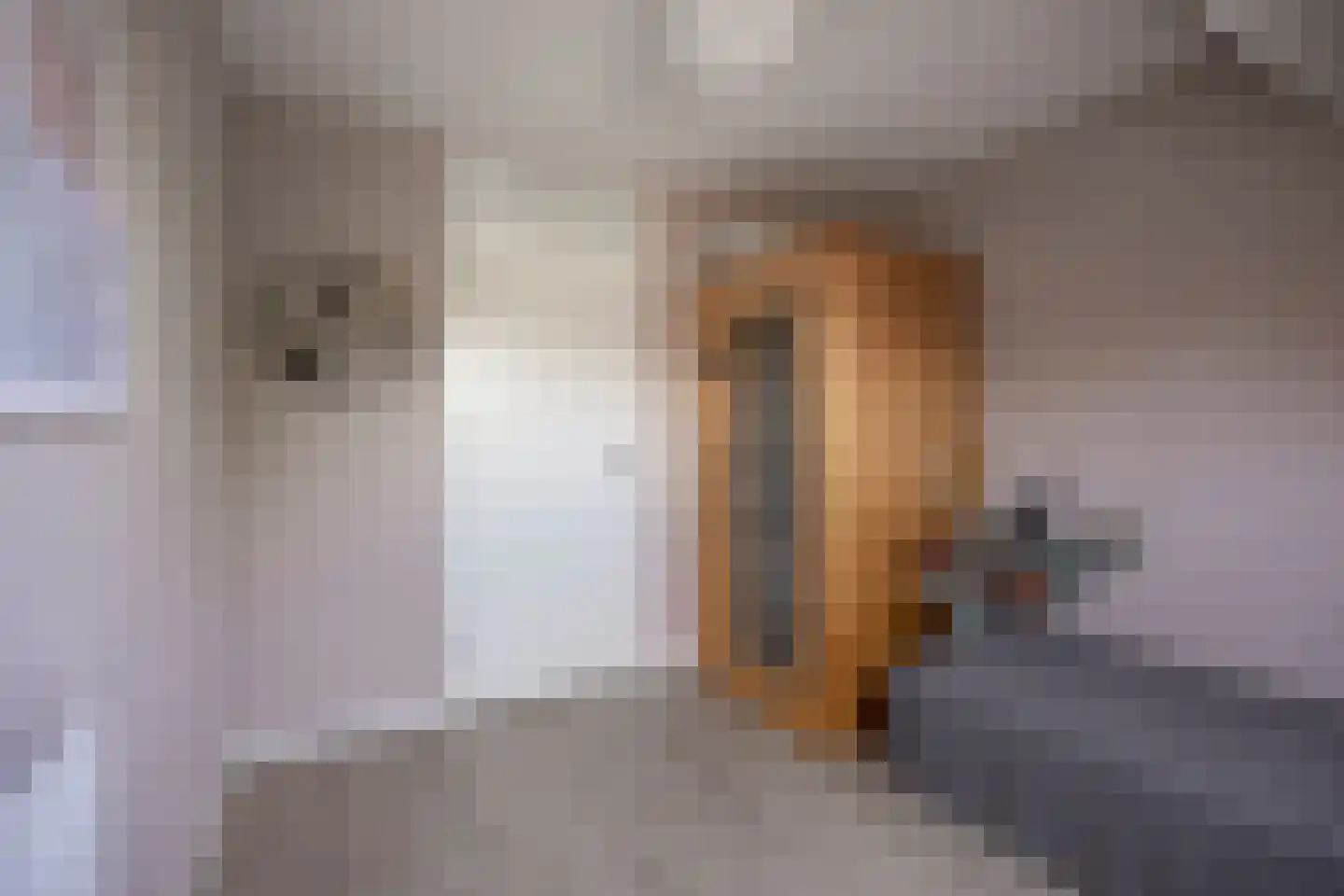 Pijlkruidvaart 14 Zoetermeer thumbnail 38