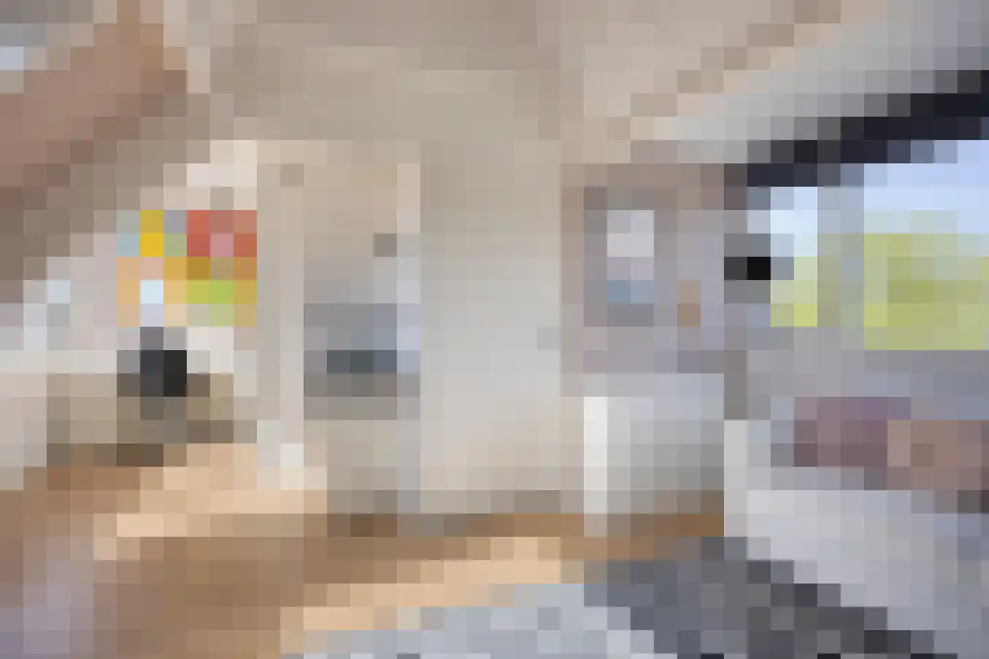Pijlkruidvaart 14 Zoetermeer thumbnail 42