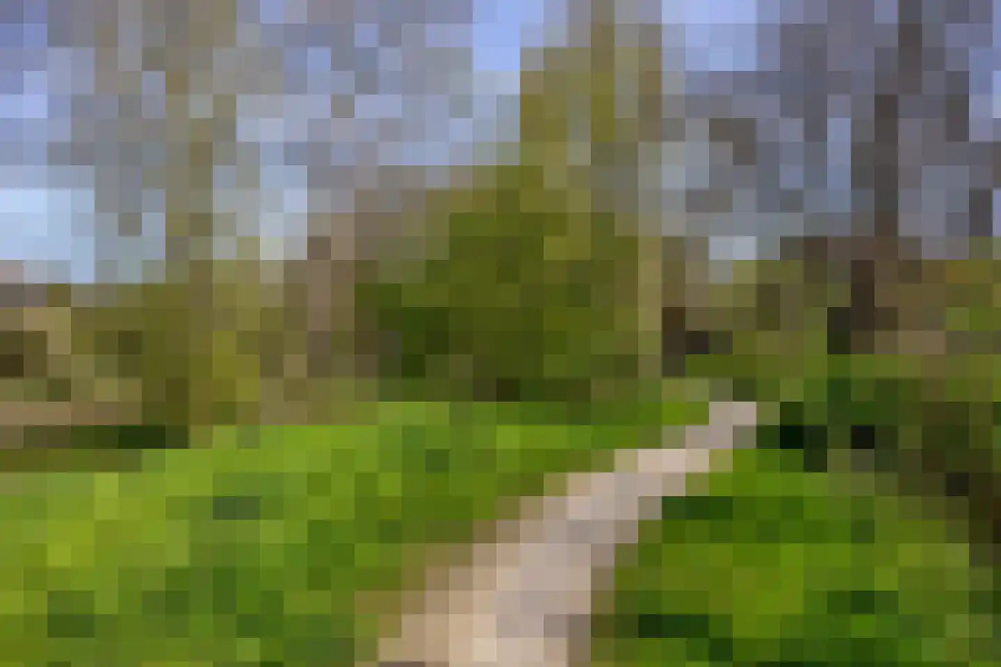 Pijlkruidvaart 14 Zoetermeer thumbnail 48