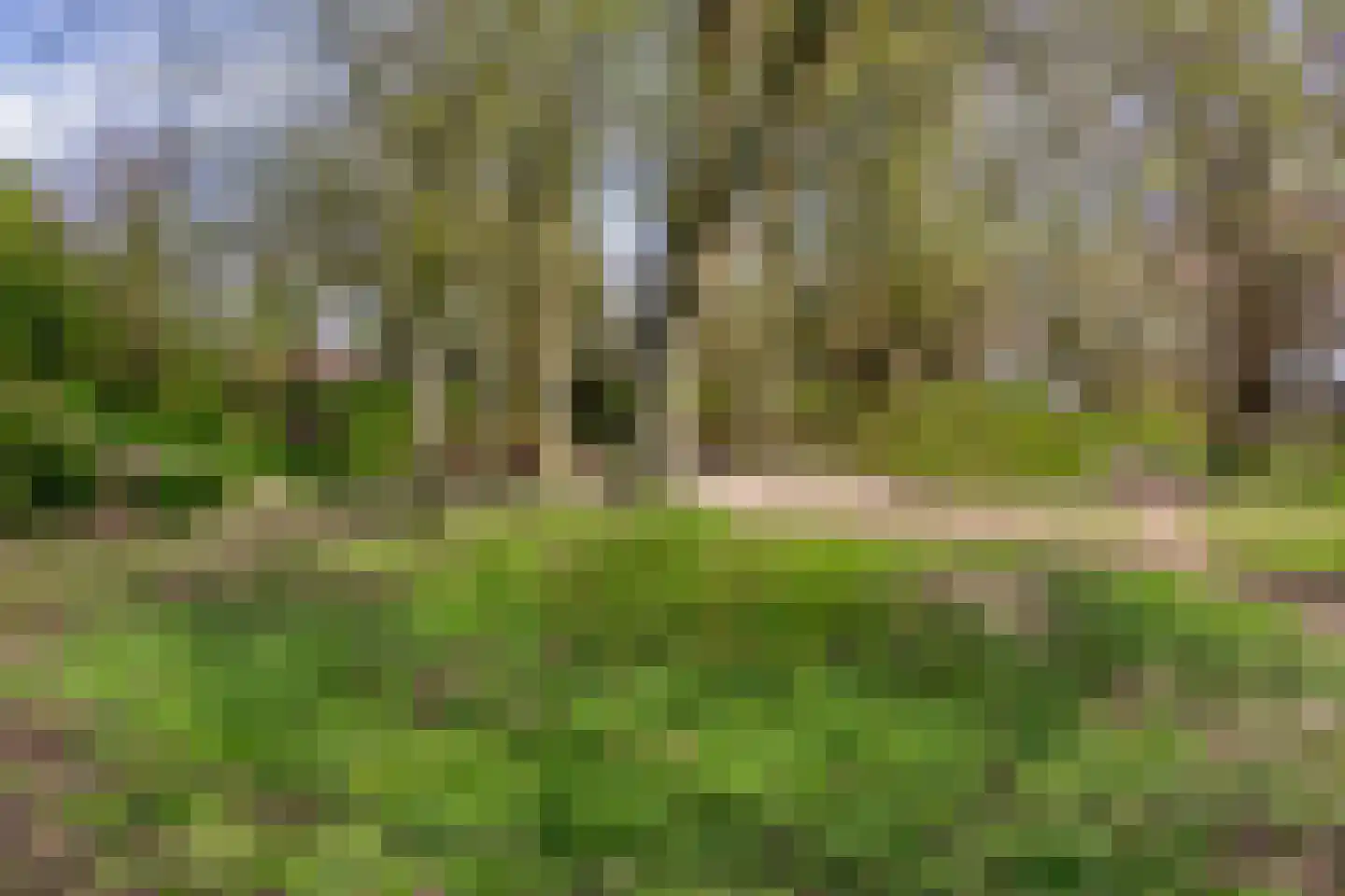 Pijlkruidvaart 14 Zoetermeer thumbnail 49