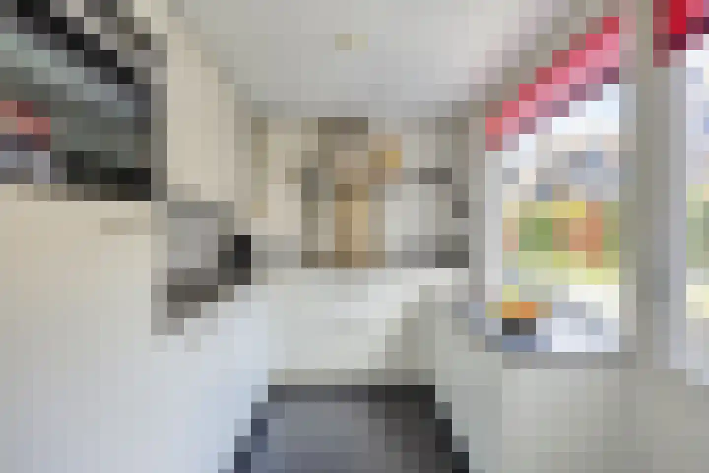 Pijlkruidvaart 14 Zoetermeer thumbnail 5