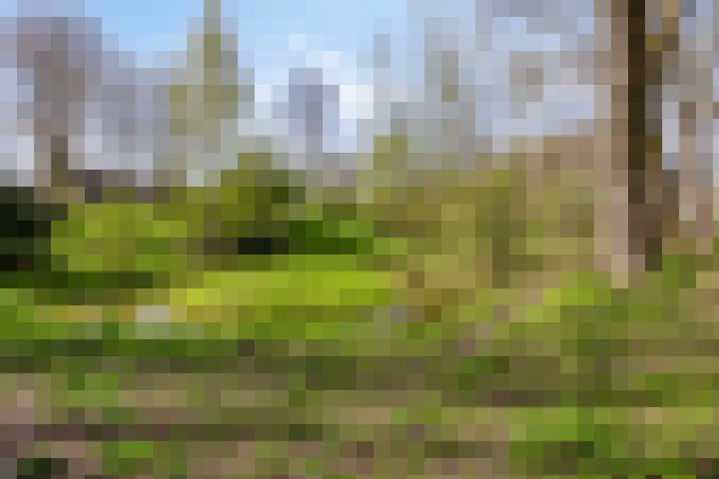 Pijlkruidvaart 14 Zoetermeer thumbnail 50