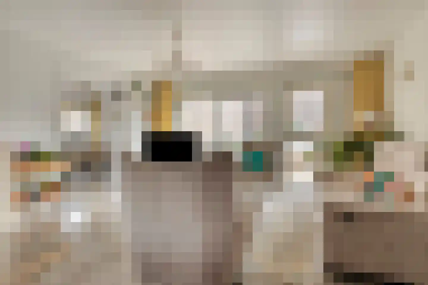 Pijlkruidvaart 36 Zoetermeer thumbnail 11