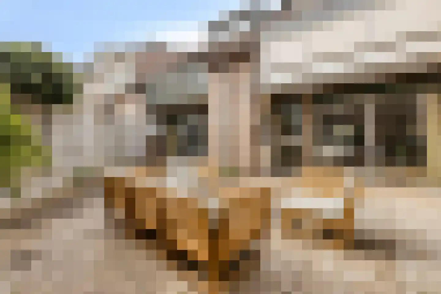 Pijlkruidvaart 36 Zoetermeer thumbnail 17