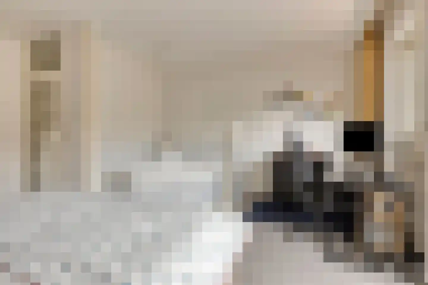 Pijlkruidvaart 36 Zoetermeer thumbnail 22