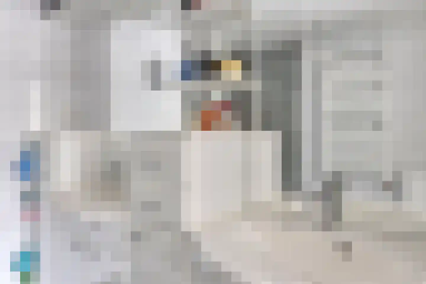 Pijlkruidvaart 36 Zoetermeer thumbnail 25