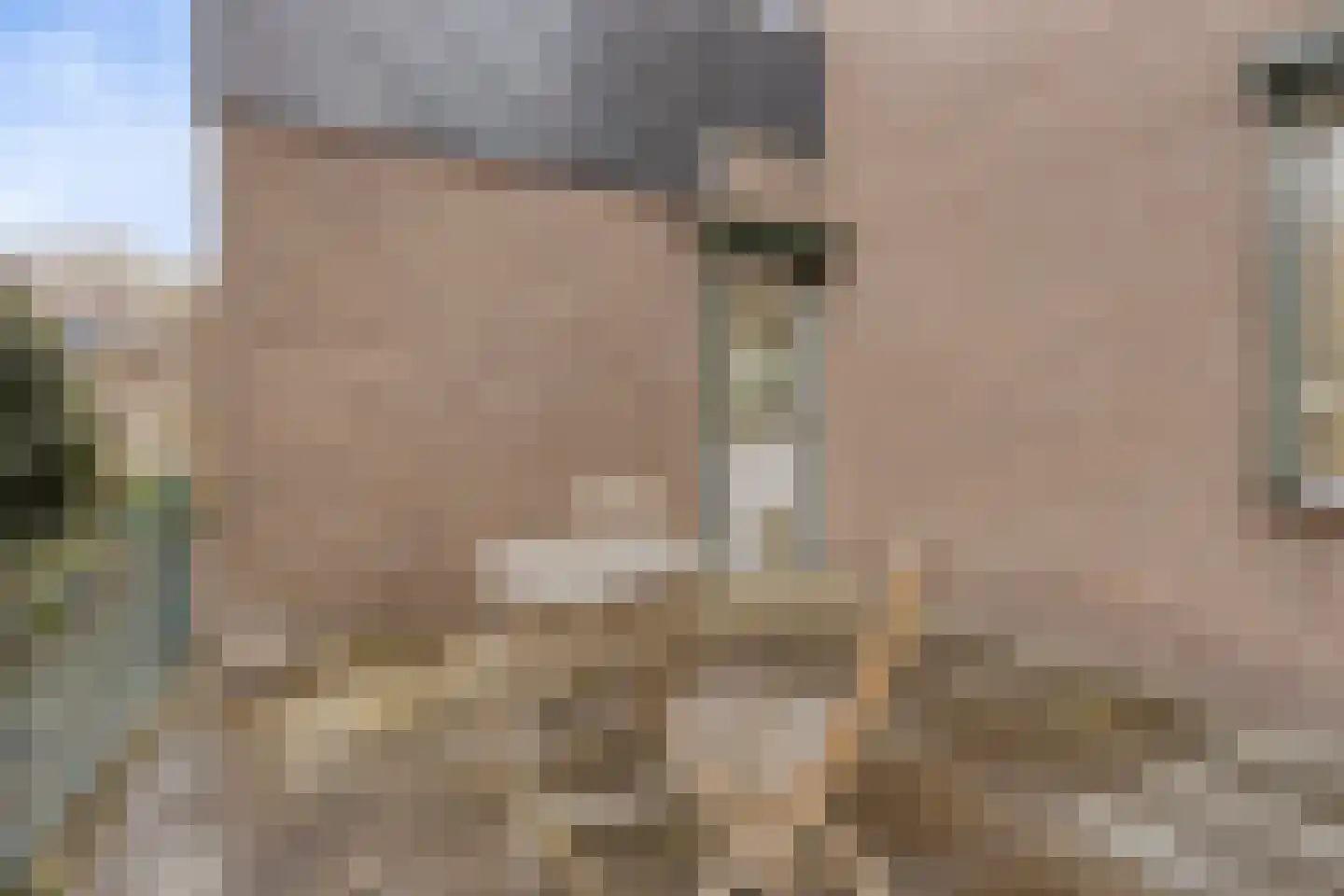 Pijlkruidvaart 36 Zoetermeer thumbnail 27