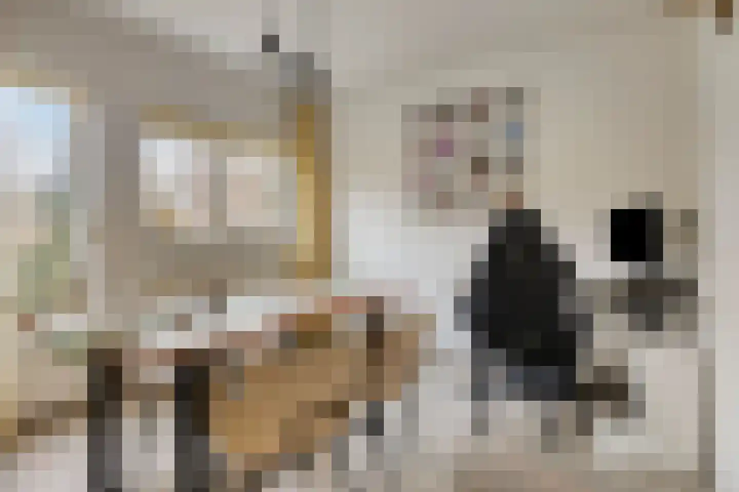 Pijlkruidvaart 36 Zoetermeer thumbnail 6