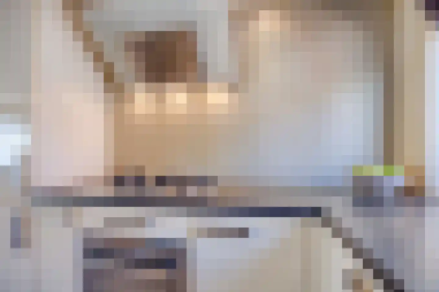 Pijlkruidvaart 64 Zoetermeer thumbnail 15