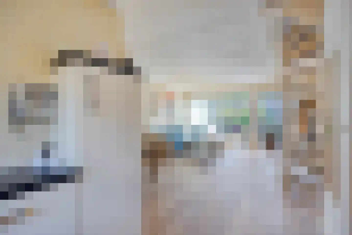 Pijlkruidvaart 64 Zoetermeer thumbnail 17
