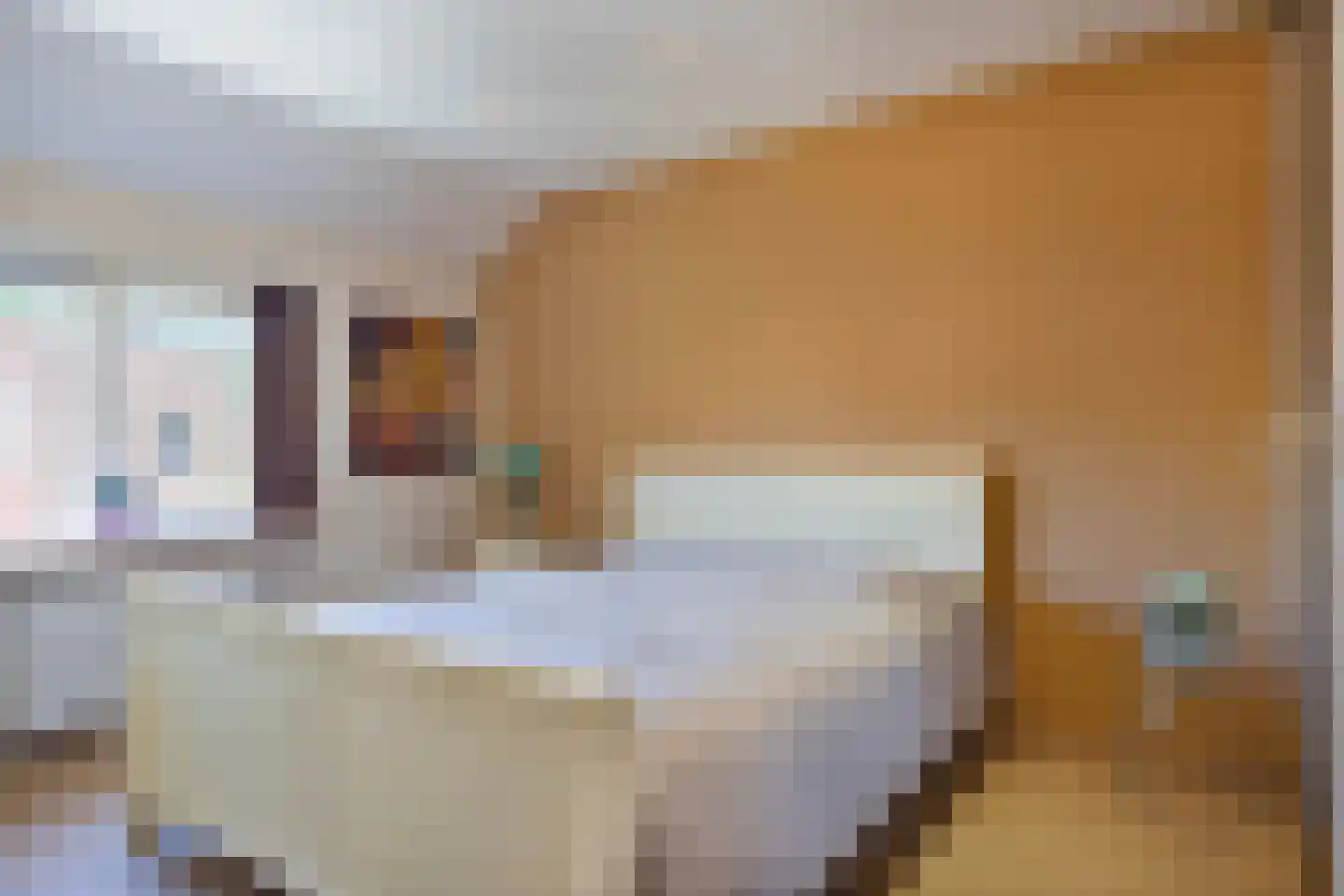 Pijlkruidvaart 64 Zoetermeer thumbnail 20