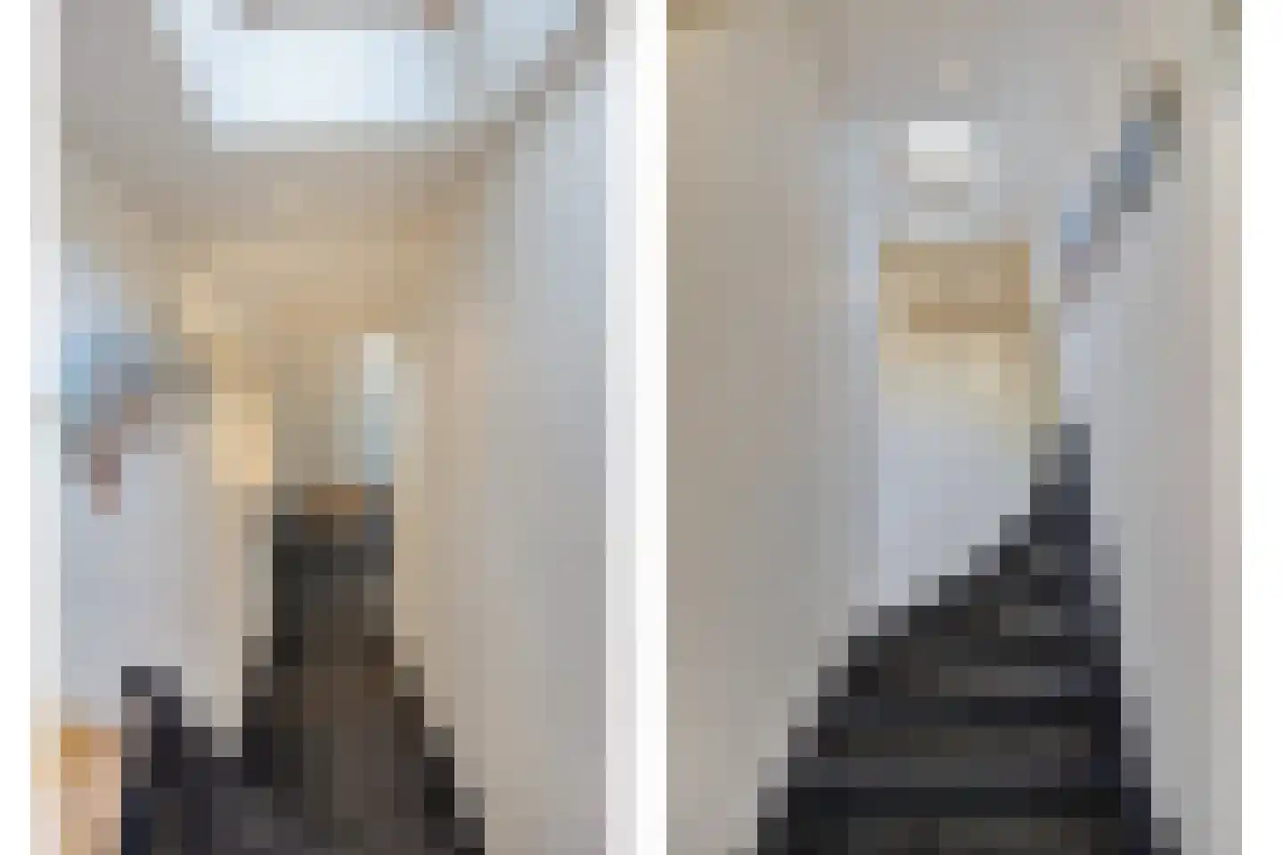 Pijlkruidvaart 64 Zoetermeer thumbnail 8