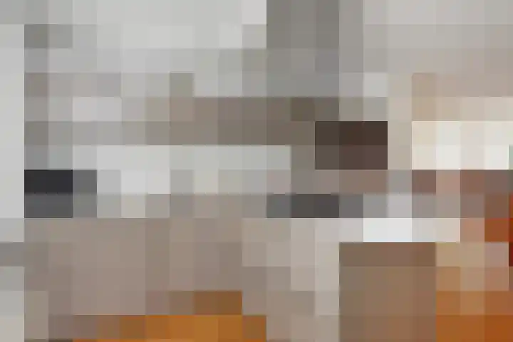 Pijlkruidveld 17 Den Haag thumbnail 11