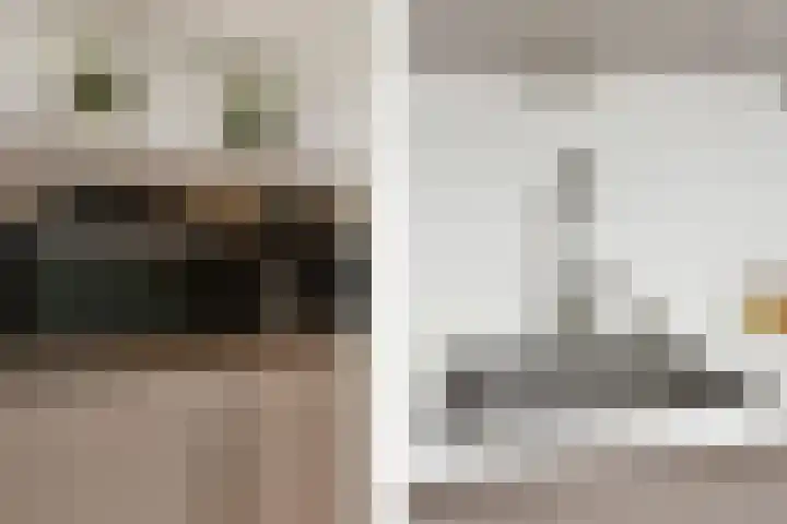 Pijlkruidveld 17 Den Haag thumbnail 13