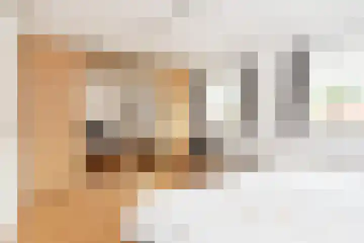 Pijlkruidveld 17 Den Haag thumbnail 18