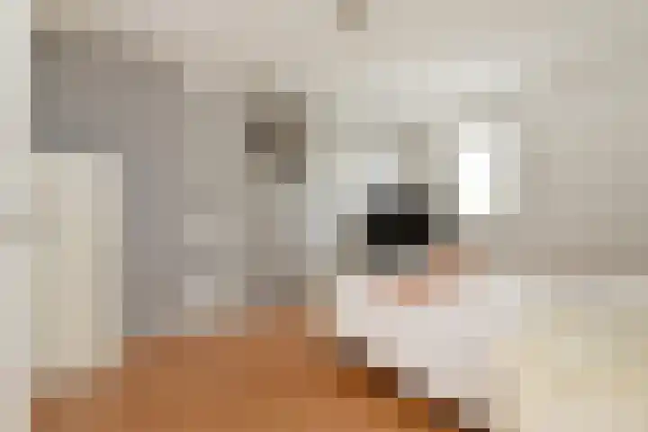 Pijlkruidveld 17 Den Haag thumbnail 23