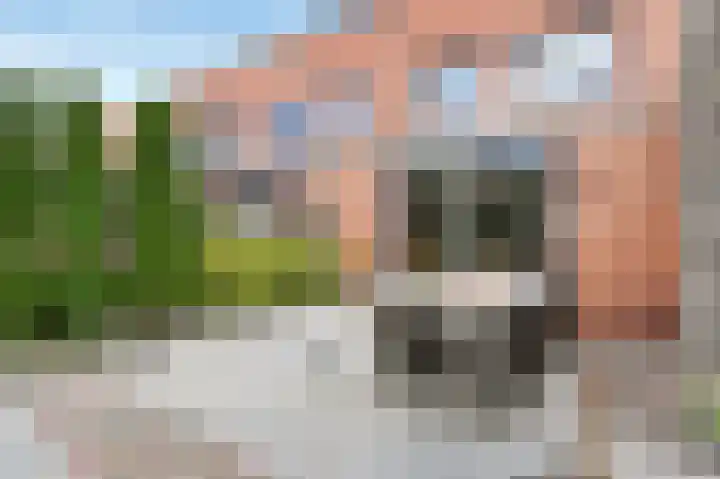 Pijlkruidveld 17 Den Haag thumbnail 36