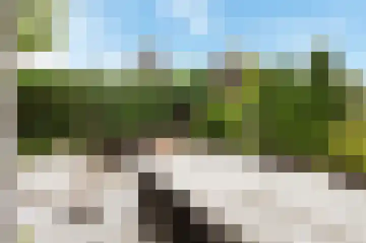 Pijlkruidveld 17 Den Haag thumbnail 37