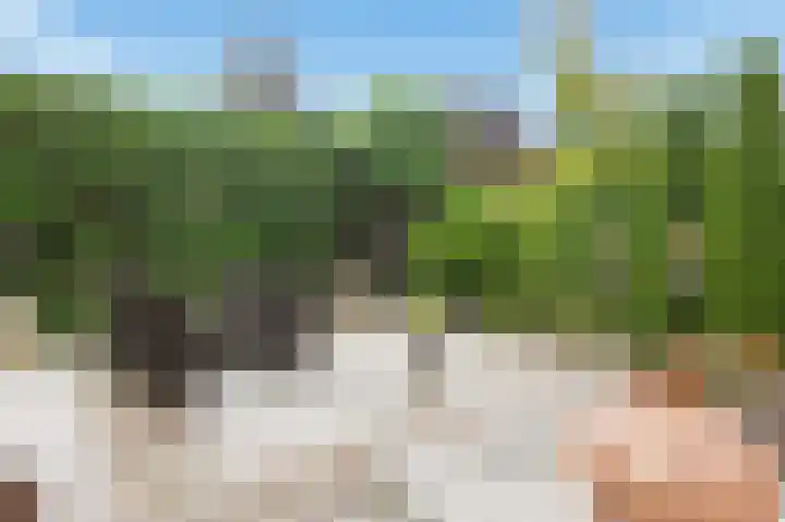 Pijlkruidveld 17 Den Haag thumbnail 38