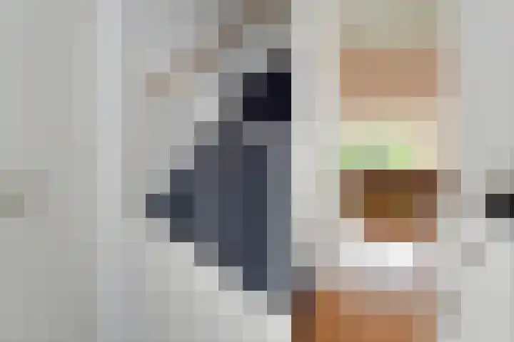 Pijlkruidveld 17 Den Haag thumbnail 4