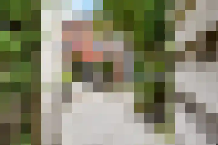 Pijlkruidveld 17 Den Haag thumbnail 40
