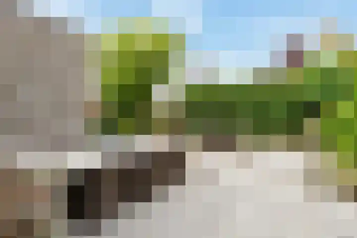 Pijlkruidveld 17 Den Haag thumbnail 41