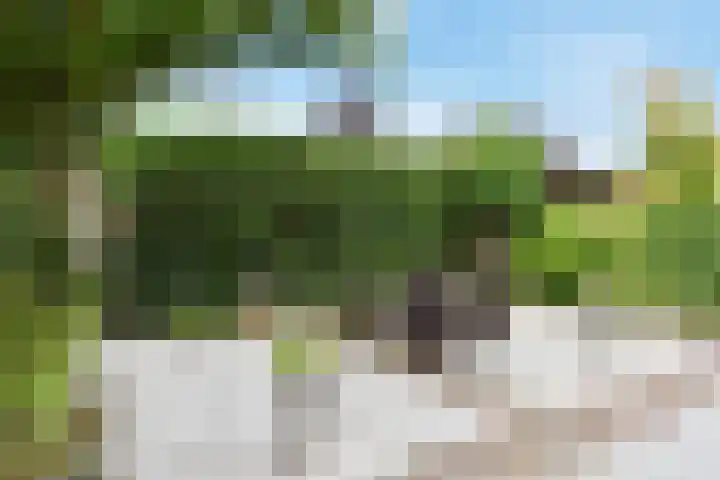Pijlkruidveld 17 Den Haag thumbnail 42