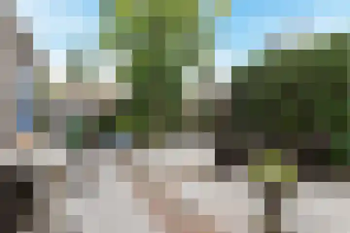 Pijlkruidveld 17 Den Haag thumbnail 43
