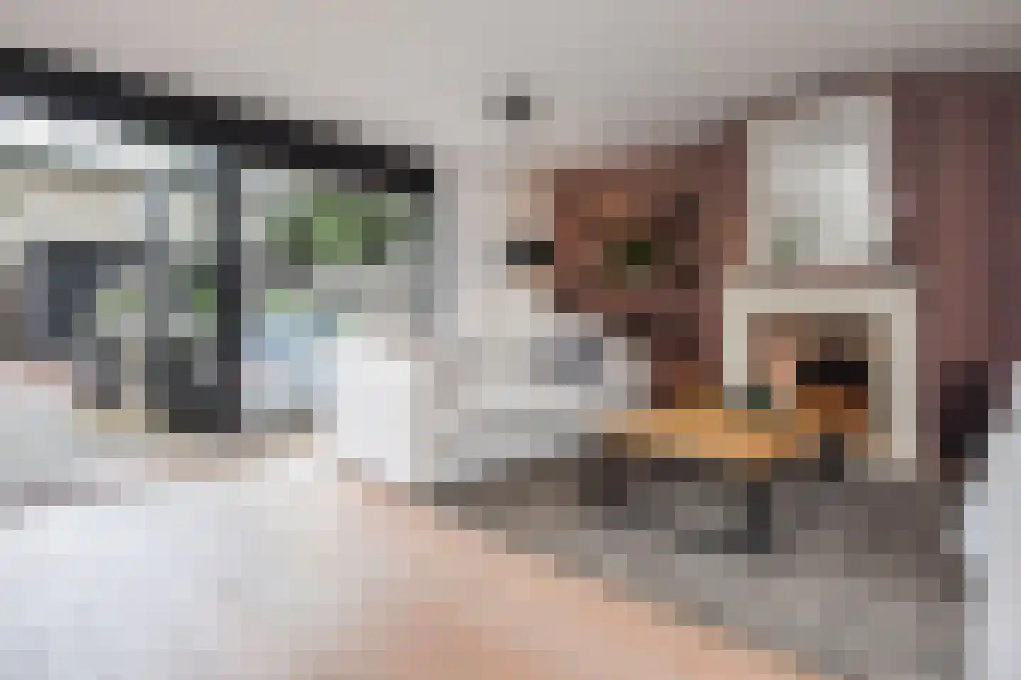 Pijlkruidveld 23 Den Haag thumbnail 10