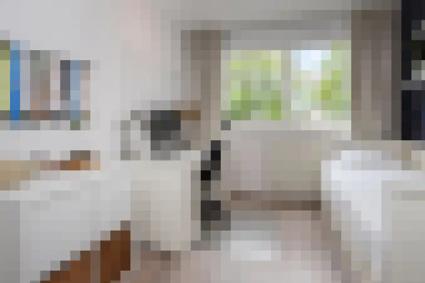 Pijlkruidveld 23 Den Haag thumbnail 22