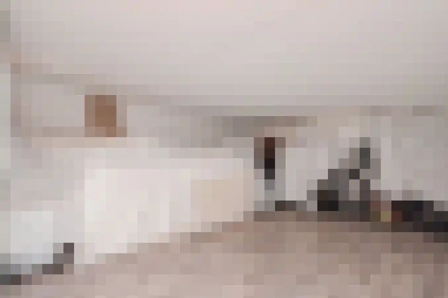 Pijlkruidveld 23 Den Haag thumbnail 35